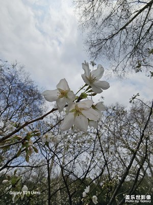 惠山古鎮(zhèn)~錫惠公園