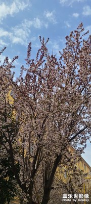 吹暖花開(kāi)