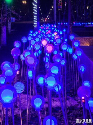 【美麗夜景】公園燈光秀