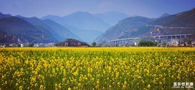 【美好時(shí)光】+油菜花
