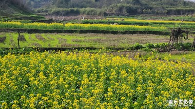 【春之序曲】+鄉(xiāng)味