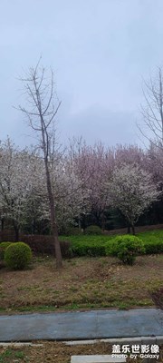 拍拍路邊風(fēng)景也好
