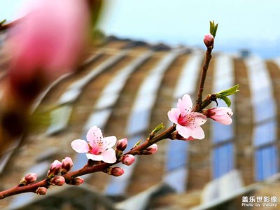 【春之序曲】+姹紫嫣紅