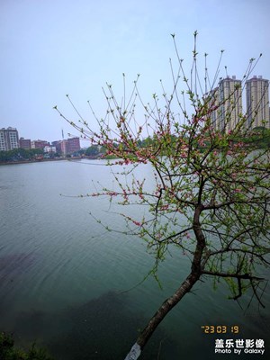 20+裝了谷歌相機(jī)