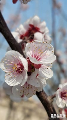 周末再次面向大海，春暖花開