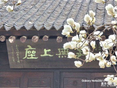 【春之序曲】+春游秦嶺