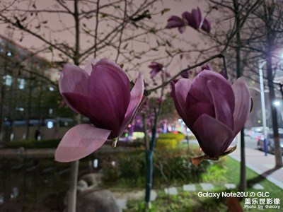 【美麗夜景】+ 園區(qū)夜景