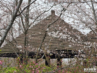 【生活的色彩】+春色