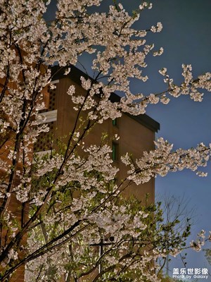 【美麗夜景】+ 校園夜景