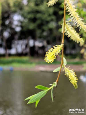 每天發(fā)幾張23U的照片