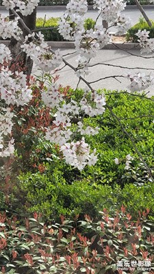 健康第一，掙錢只是游戲