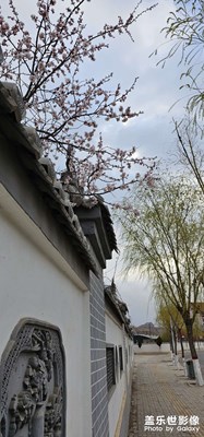 S23U，今天早上天氣不好，拍的照片有點不理想