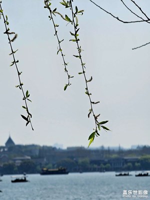 春日?游西湖白堤