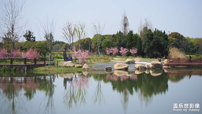 鏡頭下的白米蕩