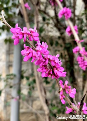 【生活的色彩】+ 周末時光