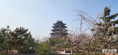 【美好時(shí)光】+周末賞春