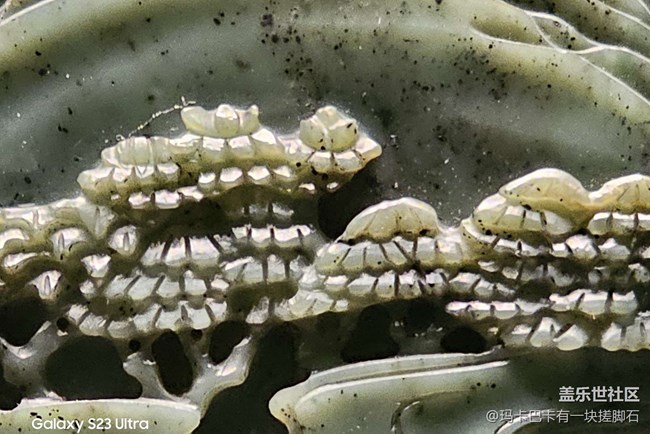 【活動回顧】S23攝影體驗&遼寧省博物館一日游