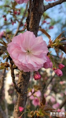 三月再見，四月你好