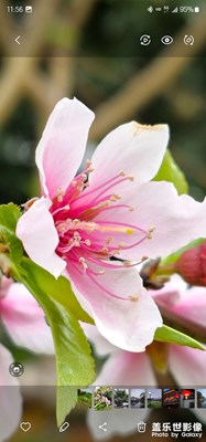 感受一下2億像素的魅力