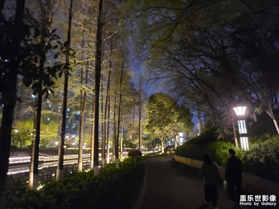 【美麗夜景】觀光帶