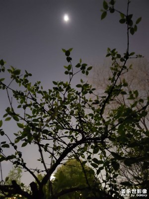 【美麗夜景】月明星稀