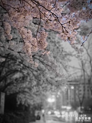 青島設(shè)計(jì)院