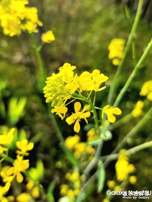 【拍有趣味】+隨拍