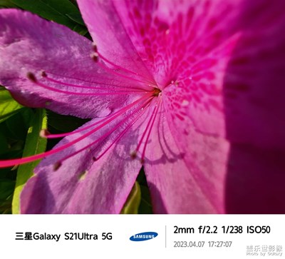 大學(xué)生活攝影養(yǎng)成1??