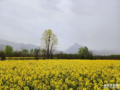 【拍有趣味】+活在當(dāng)下