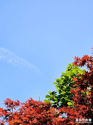 好春光，在這艷陽(yáng)