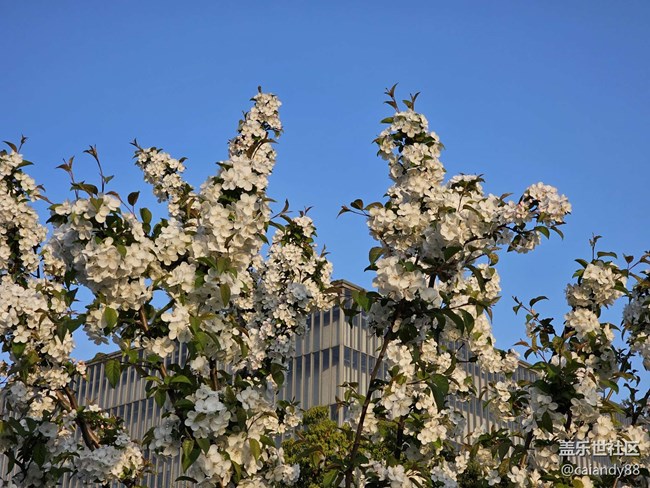 已開獎【Note版四月第三周】Note手機里的春天 已開獎【Note版四月第三周】Note手機里的春天