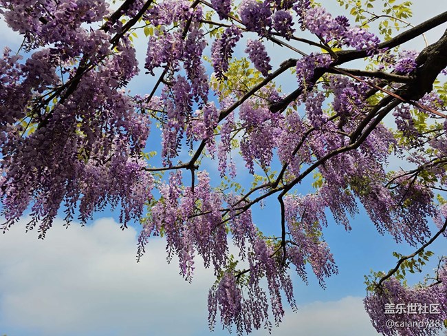 已開獎【Note版四月第三周】Note手機里的春天 已開獎【Note版四月第三周】Note手機里的春天