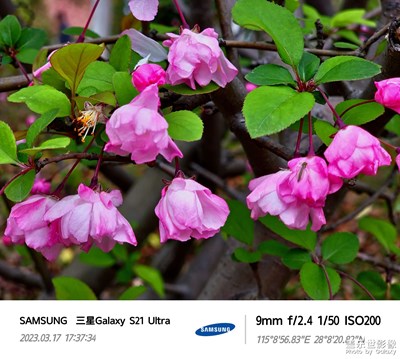 大學(xué)生活攝影養(yǎng)成??4??