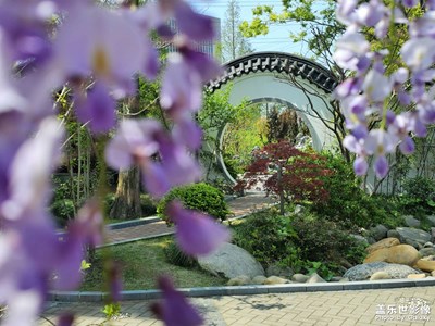 煙花三月到江南，人間芳菲四月天