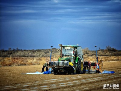 春種一粒粟，秋收萬(wàn)顆子