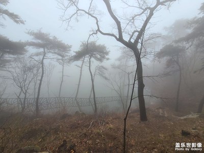 隨便發(fā)發(fā)