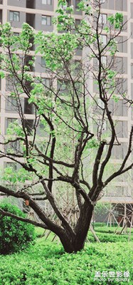 手中的S22ultra還是很能打的……