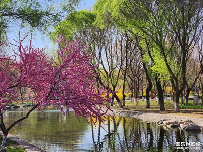 【四月物語】+春色滿園