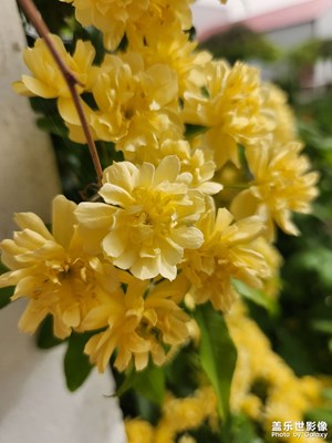 【四月物語】+春色隨拍