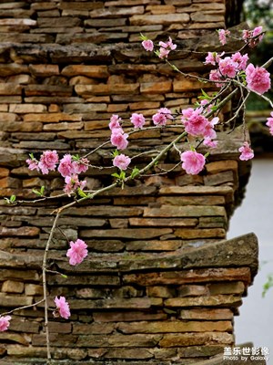 【四月物語】春色