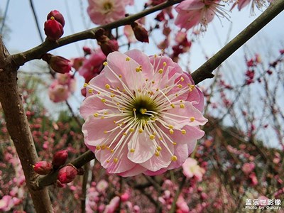 【四月物語】+春天來了