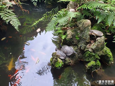 【四月物語】+親來新都，心事都成！