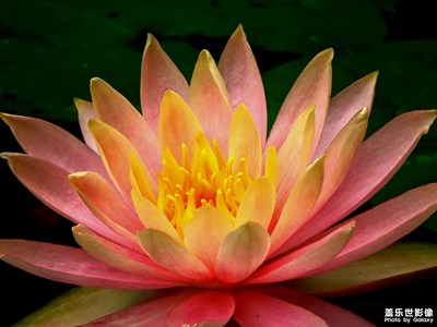 【四月物語】+湖光春色