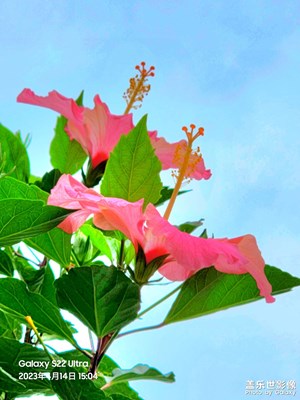 春風(fēng)吹花無(wú)厚薄