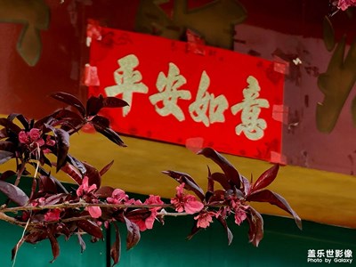 【四月物語】+新時(shí)代鄉(xiāng)村