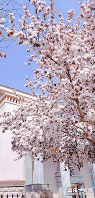 滿園春色關不住