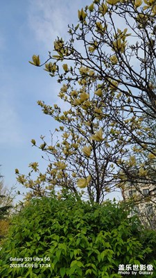 我也不知道春天什么時候來的