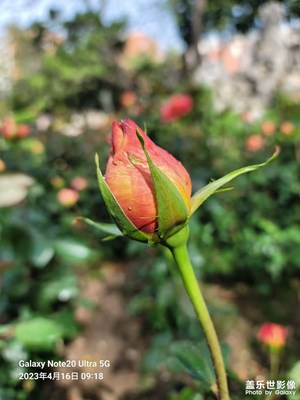 周末休閑時(shí)刻