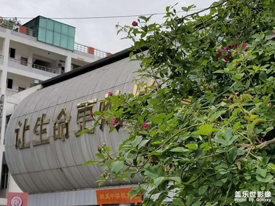 【四月物語】花花花