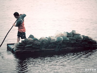 【四月物語】+隨拍